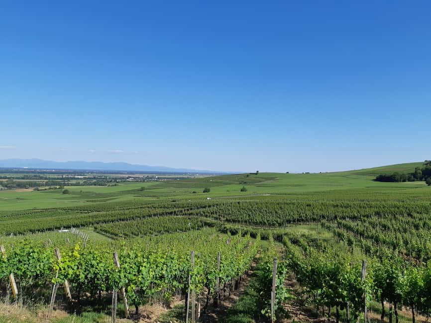 Safari Wine Villages & Wine tasting - Kientzheim, a quieter first look at the Wine Route