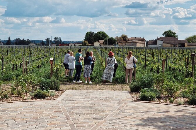 Saint-Emilion Afternoon Wine Tour - 2 Wineries & delicacies - Grand Cru Château stop: vineyard views, barrels, and your first tasting session