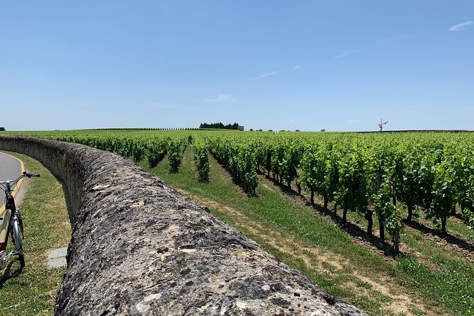 Saint-Emilion Afternoon Wine Tour - 2 Wineries & delicacies - Getting from central Bordeaux: minivan comfort and how the day flows