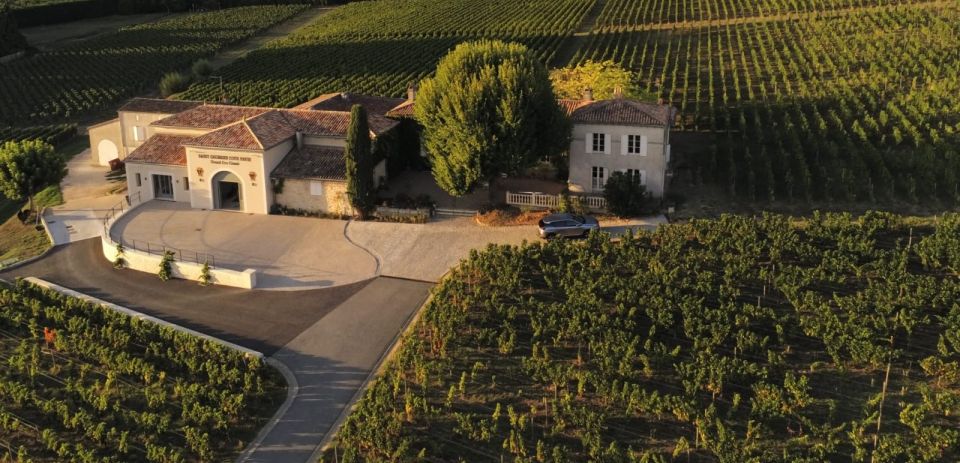 Saint-Émilion: Bordeaux Vineyard Tour and Wine Tasting - The three-wine tasting: how to get more from short pours