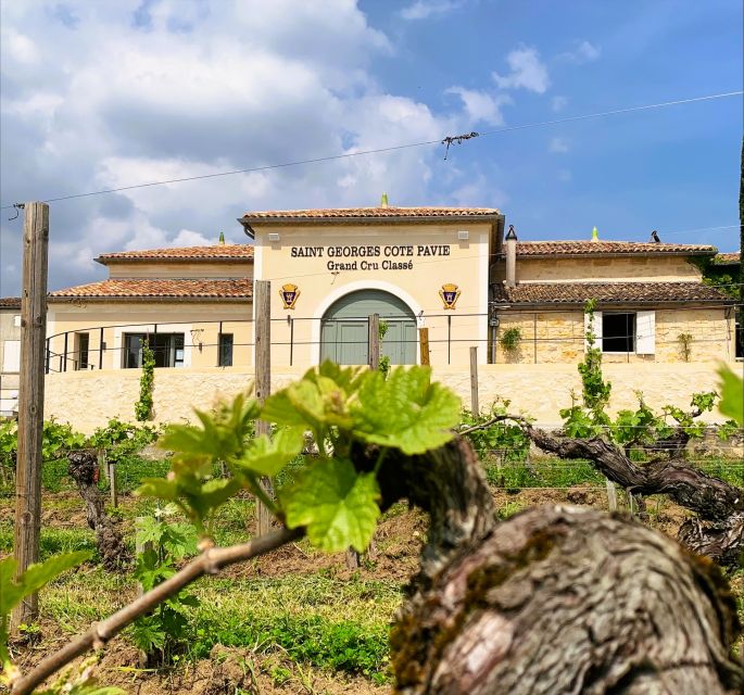 Saint-Émilion: Bordeaux Vineyard Tour and Wine Tasting - Guide style and group size: why small matters in a short tour