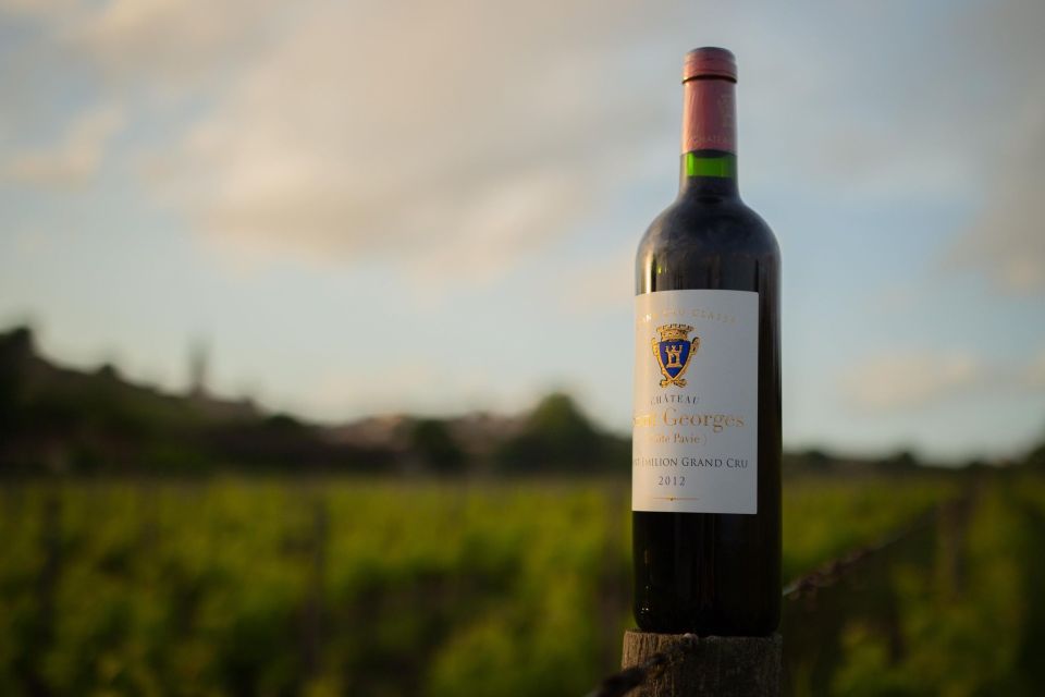 Saint-Émilion: Bordeaux Vineyard Tour and Wine Tasting - Who should book, and who should skip this tasting