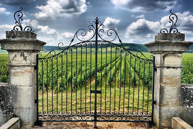 Saint Emilion Day Trip with Sightseeing Tour & Wine Tastings from Bordeaux - Free time for lunch and exploring on your own