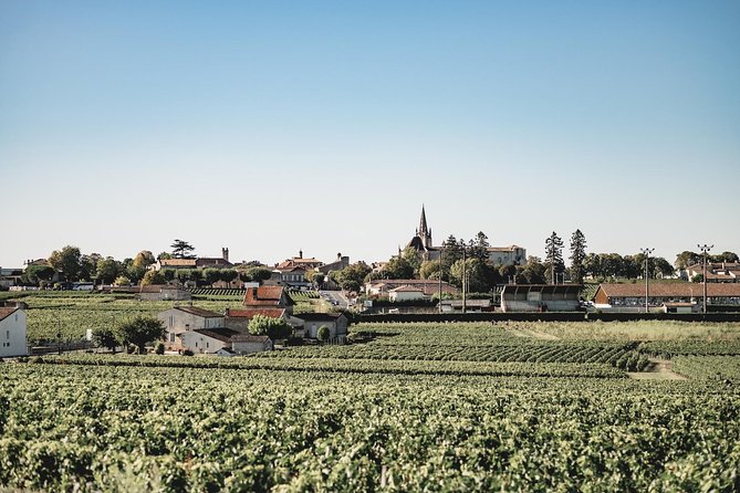 Saint-Emilion Electric Bike Day Tour with Wine Tastings & Lunch - Chateau Ambe Tour Pourret: The First Guided Tasting and Visit