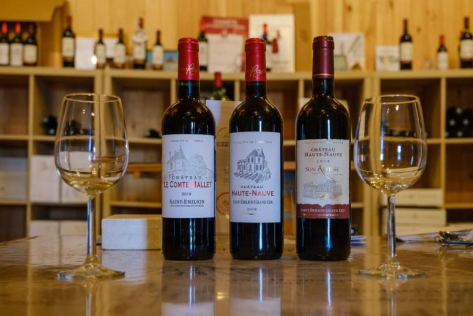 Saint-Émilion: Family Vineyard Visit with Wine Tasting - Starting with the vines: Saint-Émilion context you can taste later