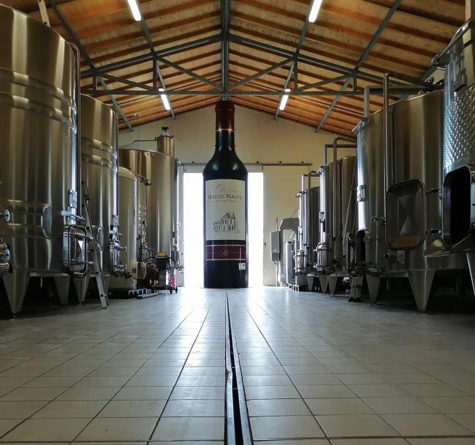 Saint-Émilion: Family Vineyard Visit with Wine Tasting - The vinification cellar: fermentation, pumping, and pressing made clear