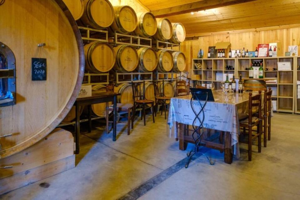 Saint-Émilion: Family Vineyard Visit with Wine Tasting - Price and value: $18 for a real inside look