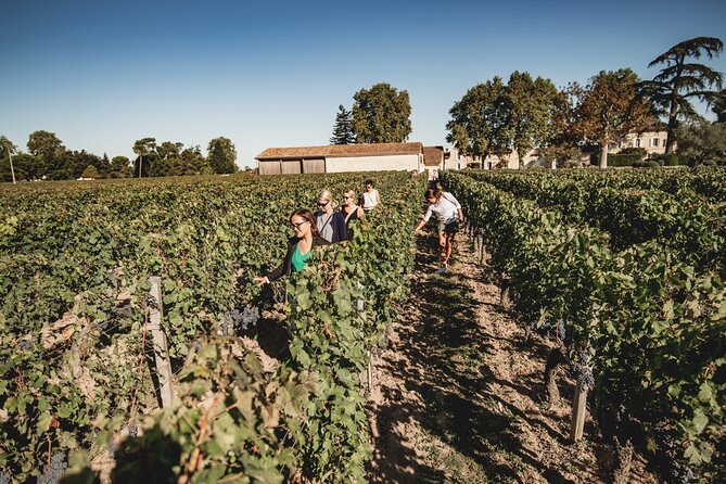 Saint-Emilion Food and Wine Day Tour - Les Domaines de Moncets: your second tasting, your comparison moment