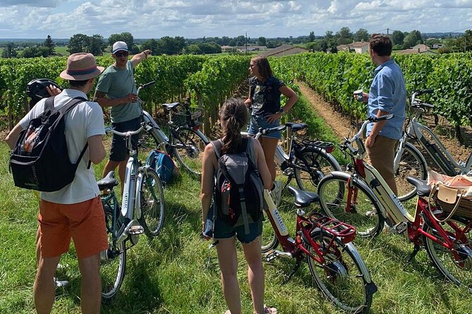 Saint Emilion Full Day Wine and Bike Tour - The Picnic Lunch: Homemade Food, Vine Views, and a Glass of Wine