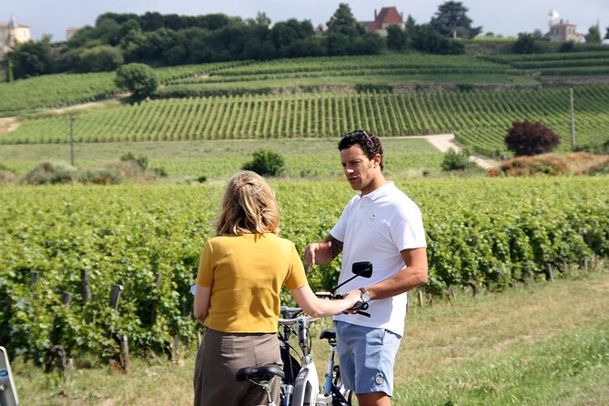 Saint Emilion Full Day Wine and Bike Tour - Bordeaux to Saint-Émilion by 8-Seat Minivan