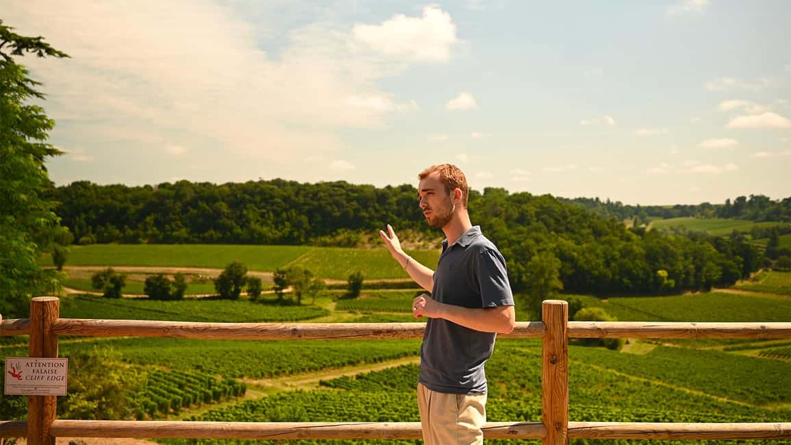 Saint-Emilion: Grand Cru Classé Cheese & Charcuterie Visit - Vineyard Terraces and Panoramic Views: The Part That Actually Changes How You Feel About the Wine