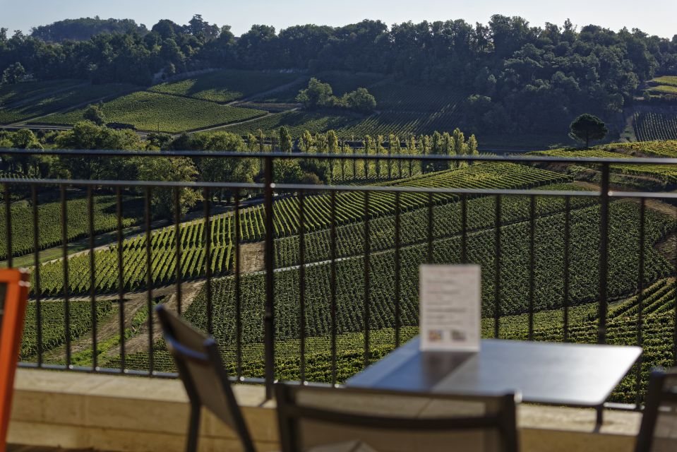 Saint-Emilion: Grand Cru Classé Cheese & Charcuterie Visit - Cheese and Charcuterie Pairing Finish: Your Board Plus a Chosen Glass