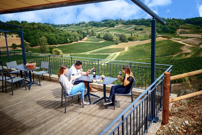 Saint-Emilion Grand Cru Classé: Gourmet Visit in English - Château La Croizille and its modern cellar