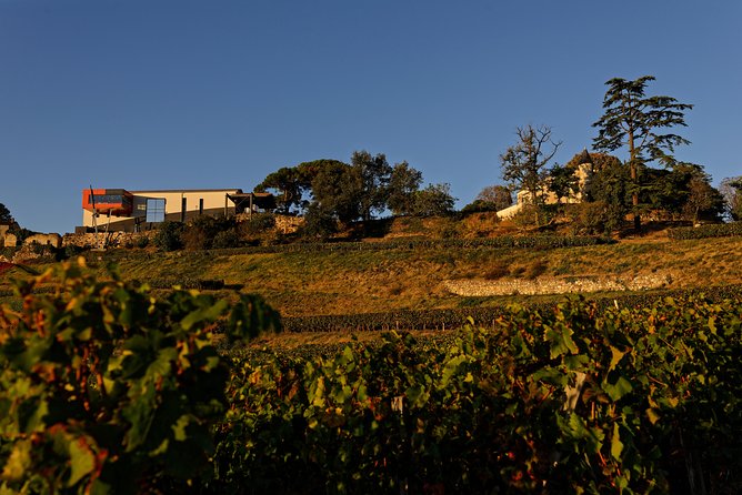Saint-Emilion Grand Cru Classé: Gourmet Visit in English - Three wines and a generous local platter