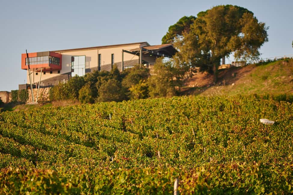 Saint-Emilion: Grand Cru Classé Guided Winery Visit & Picnic - Key highlights at a glance