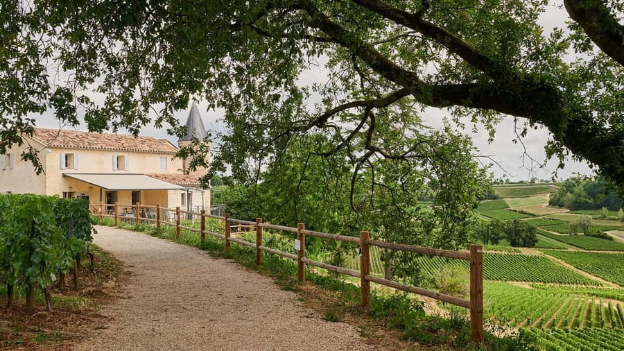 Saint-Emilion: Grand Cru Classé Guided Winery Visit & Picnic - Why this two-chateau Saint-Émilion tour fits real schedules