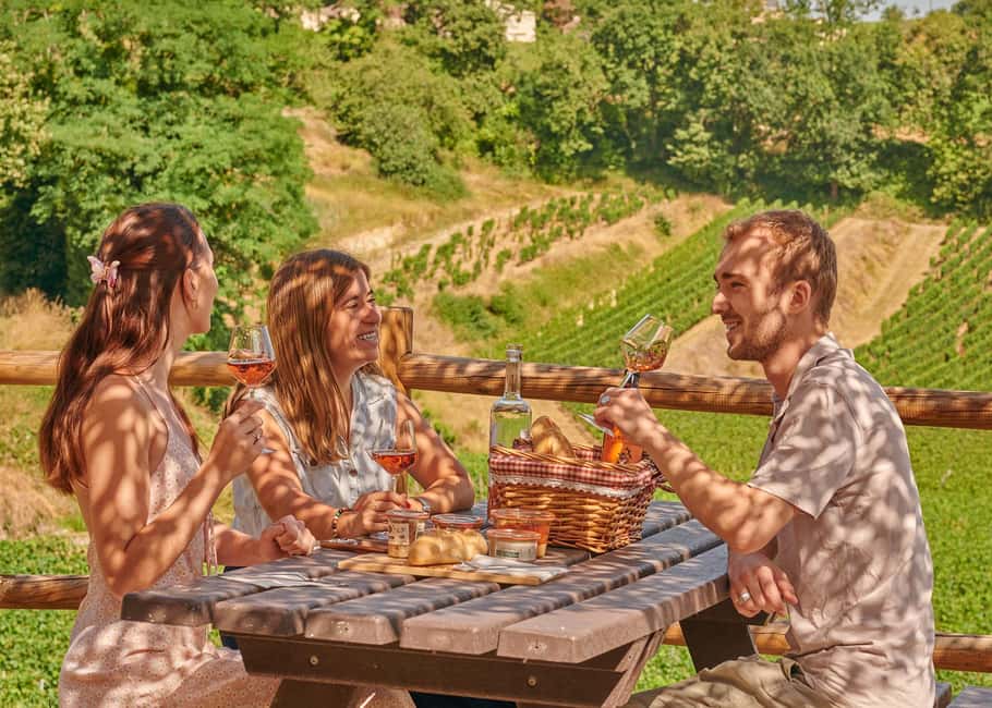 Saint-Emilion: Grand Cru Classé Guided Winery Visit & Picnic - Château Tour Baladoz: a traditional limestone estate with the winemaking basics