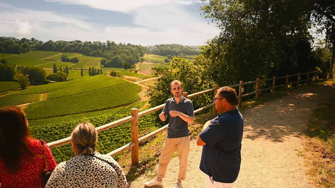 Saint-Émilion: Grand Cru Classé Winery Visit and Tasting - Saint-Émilion in one hour: why this tour works