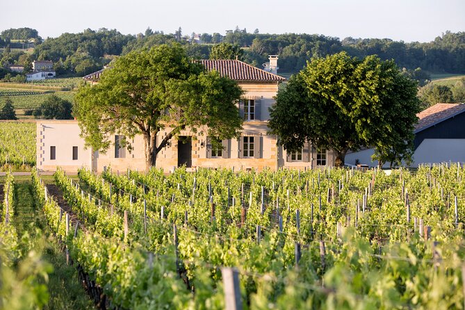 Saint Emilion Half-Day Trip with Wine Tasting & Winery Visit from Bordeaux - Things to consider before you book