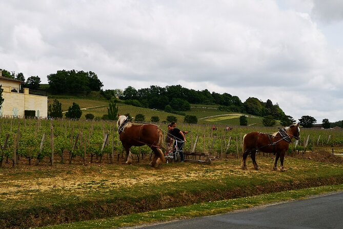 Saint Emilion Half-Day Trip with Wine Tasting & Winery Visit from Bordeaux - Getting there: the small minivan makes the day feel personal