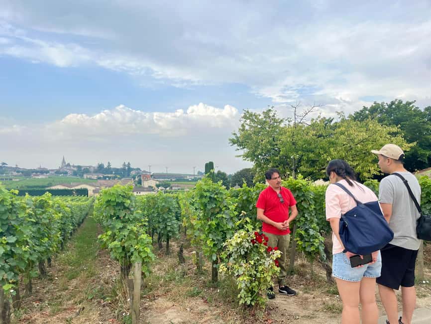 Saint-Émilion & Pomerol : Full day private tour classic car - Pomerol brings a different wine stop