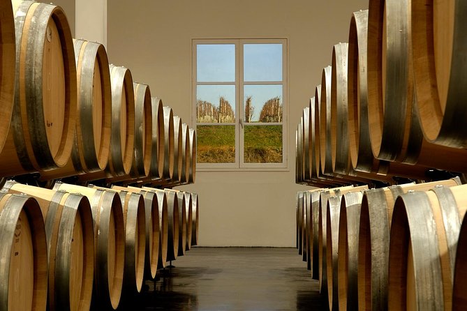 Saint-Emilion Private Half Day Wine Tour from Bordeaux - Walking the UNESCO Village: Cobblestones, Slopes, and a Better Way to See It