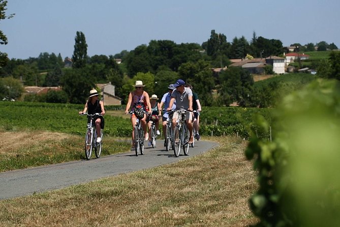 Saint-Emilion Small-Group Electric Bike Wine Tour Tastings & Lunch from Bordeaux - Price and Value: Is $228.66 a Fair Deal?