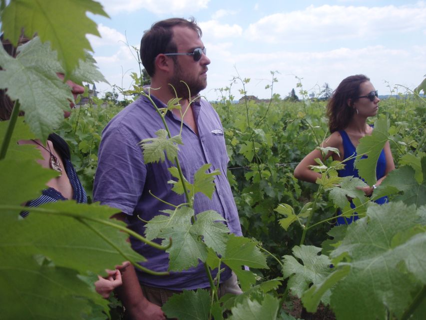 Saint-Émilion: Vineyard Walking Tour and Tasting - Key moments that make this Saint-Émilion tour worth your time
