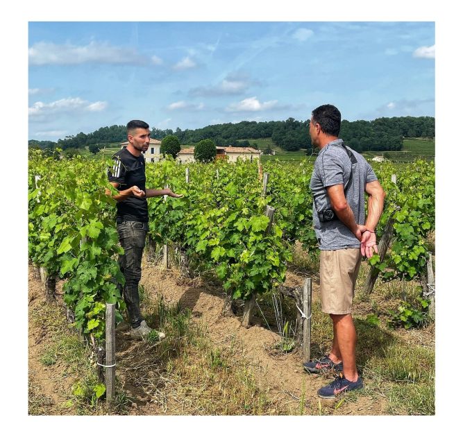 Saint-Émilion: Vineyard Walking Tour and Tasting - The tasting of four Saint-Émilion wines (including two Grand Cru picks)