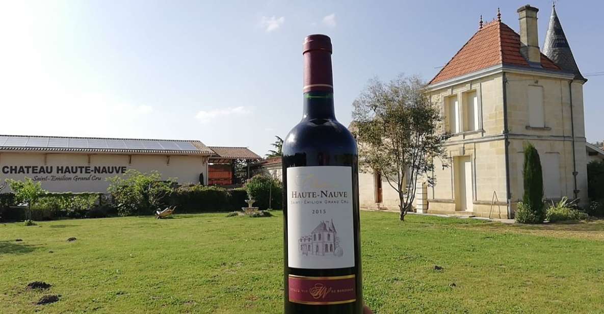 Saint-Émilion: Vineyard Walking Tour and Tasting - Group size, timing, and what to expect in real life