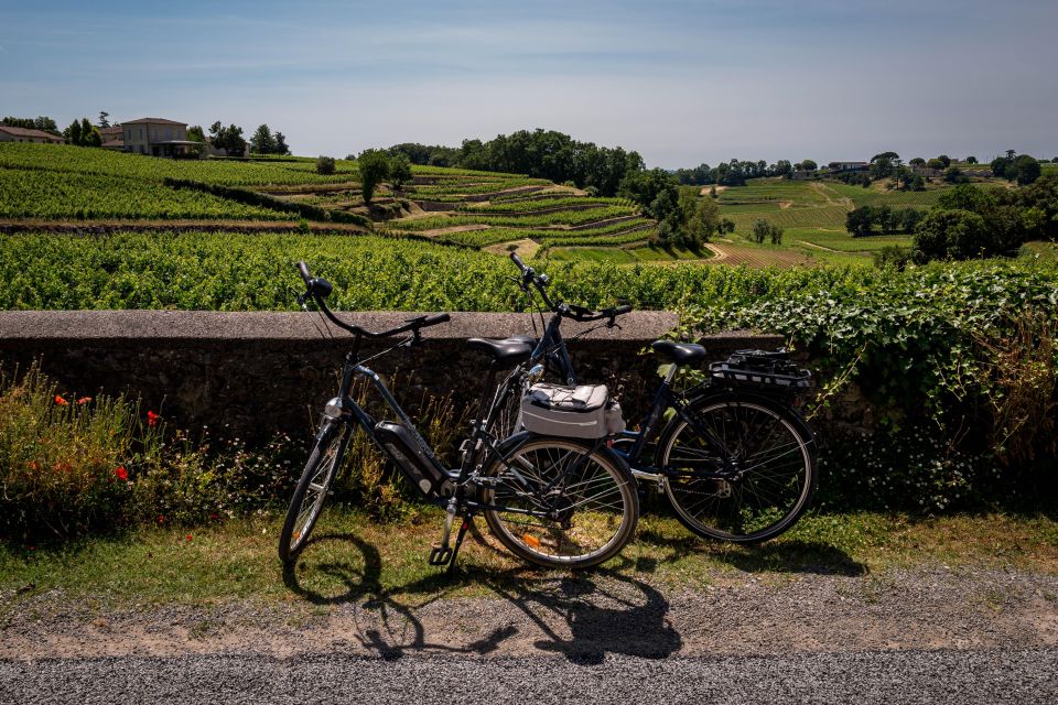 Saint-Émilion: Wine Tour by Electric Bike and Lunch - Cycling past blue clay and vineyard country