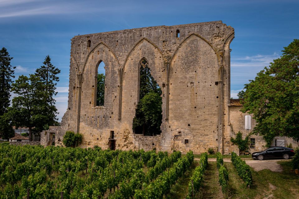 Saint-Émilion: Wine Tour by Electric Bike and Lunch - The second château and a useful comparison