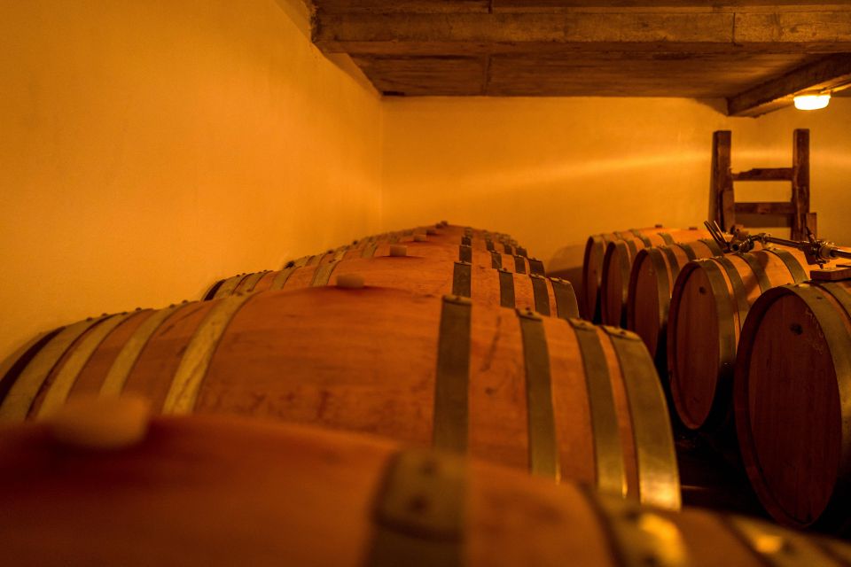 Saint-Émilion: Wine Tour by Electric Bike and Lunch - Adding the medieval village to a vineyard day