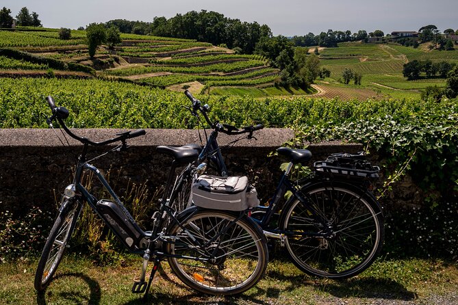 Saint-Émilion Wine Tour By Premium Electric Bike, Lunch Included - Key Highlights You’ll Feel in Real Time
