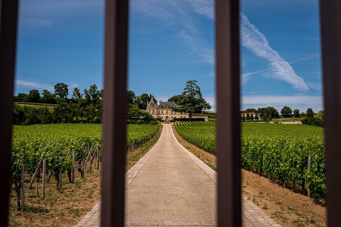 Saint-Émilion Wine Tour By Premium Electric Bike, Lunch Included - After Lunch Cycling: Blue Clay and Countryside Riding