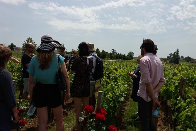 Saint Emilion Wine Tour Tasting Half Day from Bordeaux - Key highlights to notice before you go