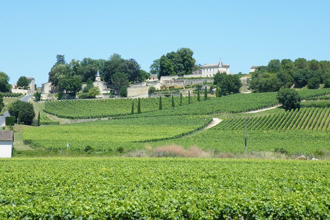 Saint Emilion Wine Tour Tasting Half Day from Bordeaux - Getting There From Place de Stalingrad: Easy Transport Without Guesswork