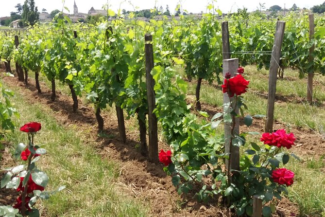Saint Emilion Wine Tour Tasting Half Day from Bordeaux - Saint-Émilion Village Time: UNESCO Sights With Guided Choices