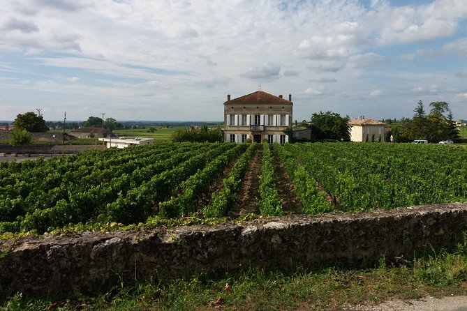 Saint Emilion Wine Tour Tasting Half Day from Bordeaux - How the Tastings Feel: Minimum Six Wines and Clear Flavor Focus