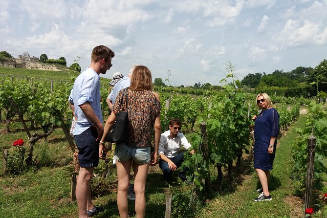 Saint Emilion Wine Tour Tasting Half Day from Bordeaux - Price and Value: Is $116.14 a Good Deal?
