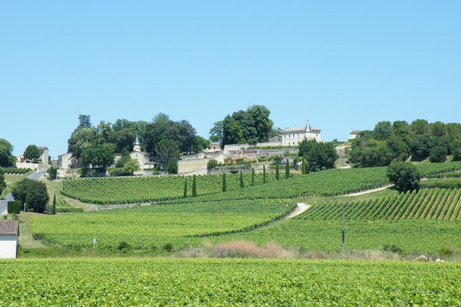 Saint Emilion Wine Tour Tasting Half Day from Bordeaux - Comfort and Logistics: What to Bring and What to Watch For
