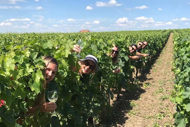 Saint-Emilion Winery Morning Tour with Local Guide - Getting from Bordeaux to Saint-Émilion: Minivan Comfort Matters