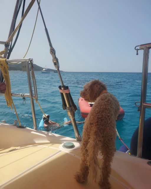 Saint-Florent: sailing excursions with Sailingmaures - Why this boat trip is different from a beach transfer