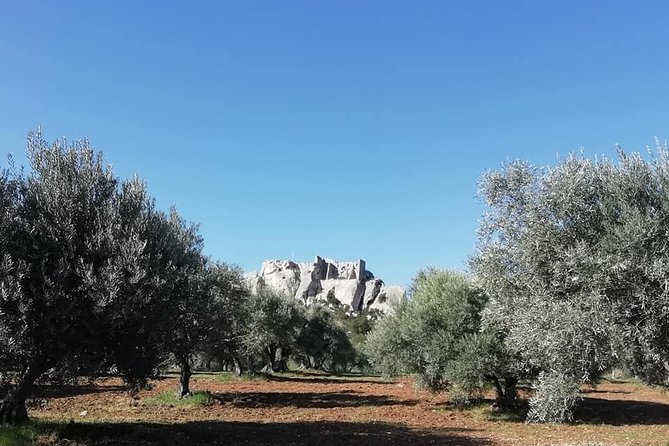 Saint Remy, Les Baux and Pont du Gard Small Group Half-Day Trip - What Your Guide Actually Adds (and Names You Might Hear)