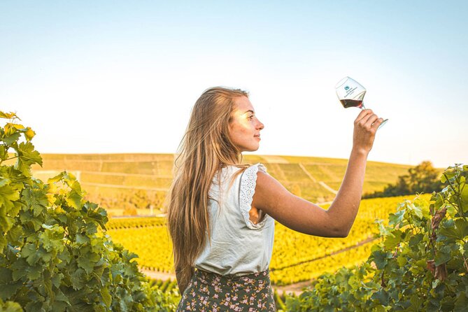 Sancerre Private Wine Tour with 10 Tastings and Lunch from Paris - Key points to know before booking