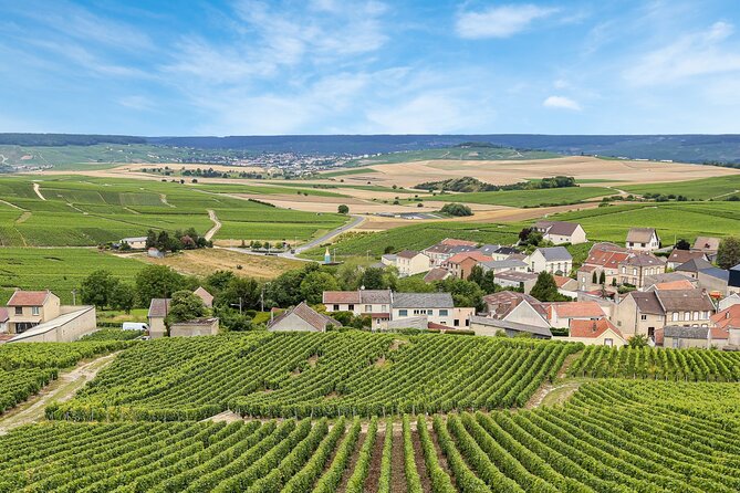 Sancerre Private Wine Tour with 10 Tastings and Lunch from Paris - Tracy-sur-Loire lunch with local cheese