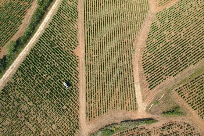 Sancerre Private Wine Tour with 10 Tastings and Lunch from Paris - Sancerre winery, vineyard lesson, and second tasting