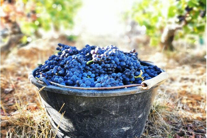 Sancerre Private Wine Tour with 10 Tastings and Lunch from Paris - The views around Sancerre and Saint-Satur