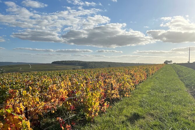 Sancerre Private Wine Tour with 10 Tastings and Lunch from Paris - What the $1,047.80 price really covers