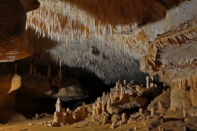 Sarlat : Private Tour to a Prehistoric Cave by Exploreo24 - Reading paintings from 30,000 years ago